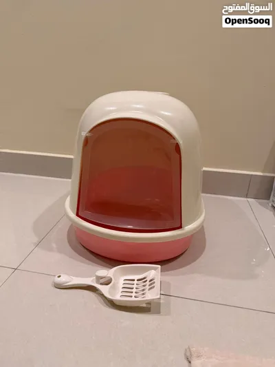 All Kitten supplies for sale - used for 2 days only - 4