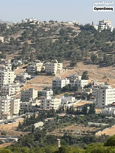 أرض سكني على مطل النبعة الخلاب للبيع 2