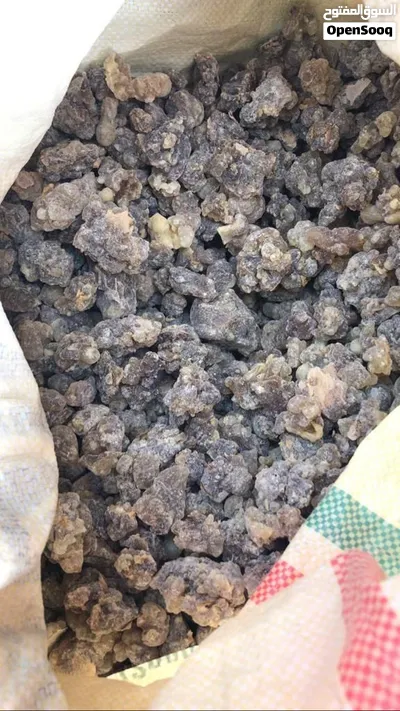 متوفره كميات كبيره من لبان معنا 4
