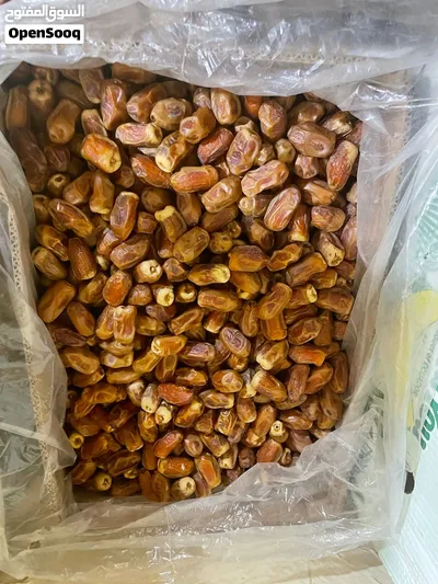 تمور المجمعه 2