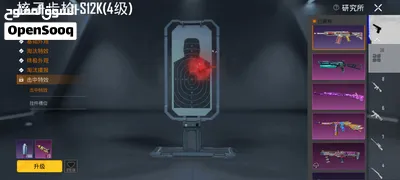 حساب ببجي الله يبارك 3