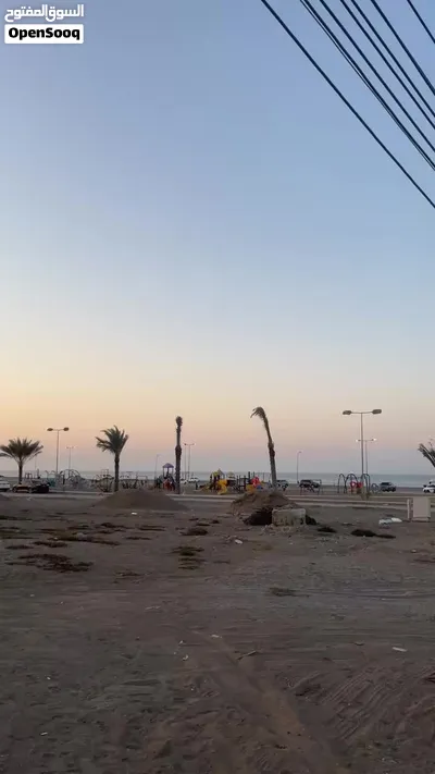 امورها طيبه 4