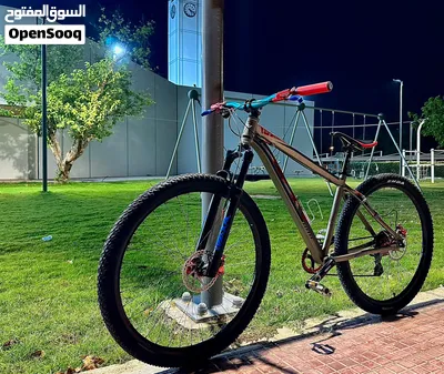 Mountain bike 29er fully modified 4