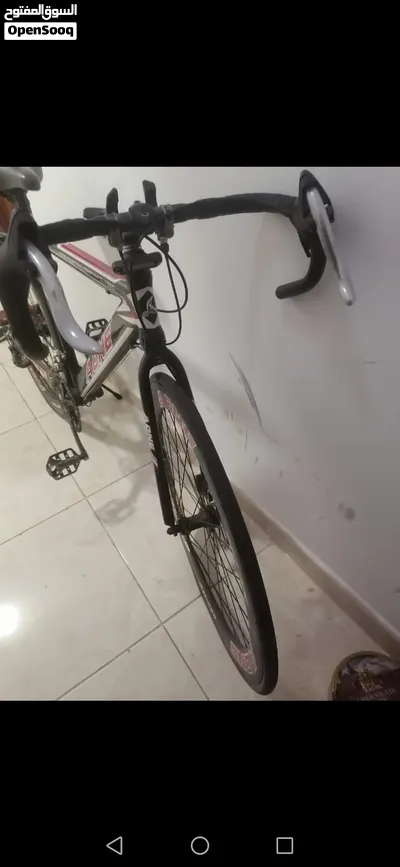 model 2024 3