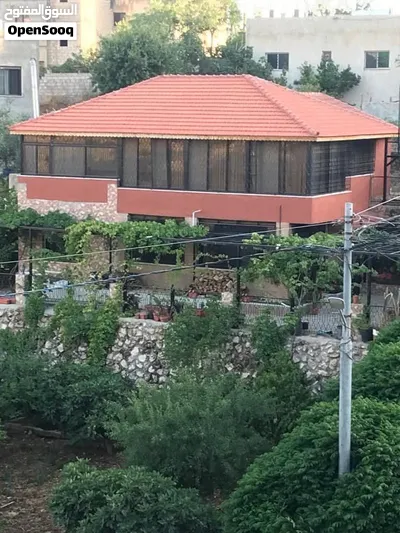 دونم الرباحيه خلف مسجد الملك حسين والمدينة الطبيه من المالك 2