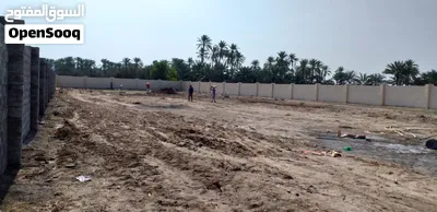 أرض زراعية مسورة ومستوية للإيجار في ولاية صحار بها ماء وكهرباء وغرفة مع دورة مياه 2