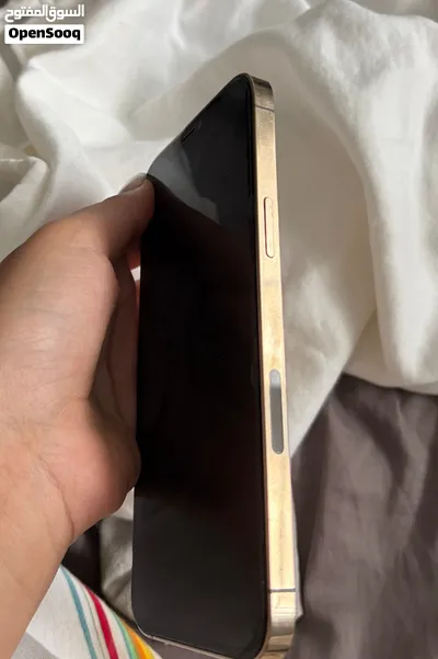 iPhone 12 max pro max 2