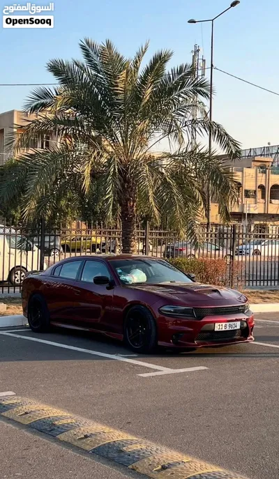 جارجر rt super track pack 2022 3