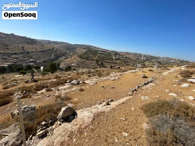 سعر حرق علكاش 2