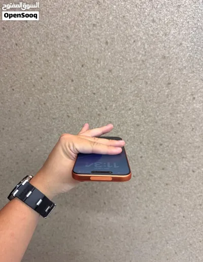 17 pro max 1tb 4