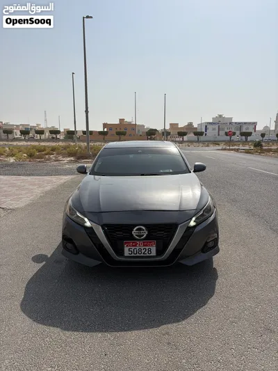 التيما 2019 وارد 4