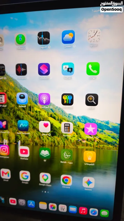 ipad pro m2 11in 256gb 4