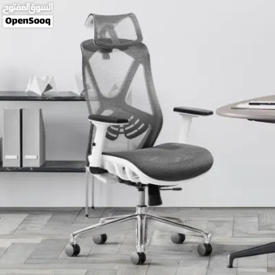 A-ERGONOMIC CAREZMA Manager Gray Korea 81905 2