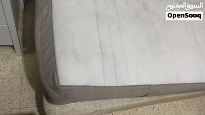 اسرة ايكيا 2