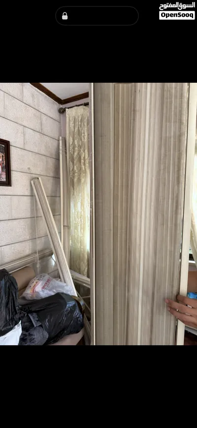 برادي زيبرا 4