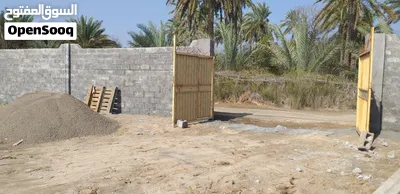 أرض زراعية مسورة ومستوية للإيجار في ولاية صحار بها ماء وكهرباء وغرفة مع دورة مياه 3
