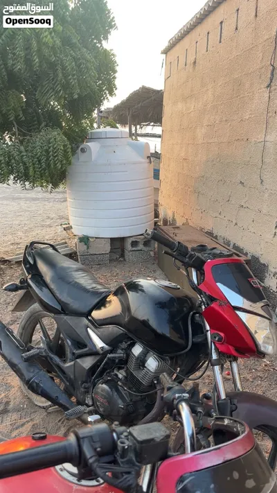 امورها طيبه 3