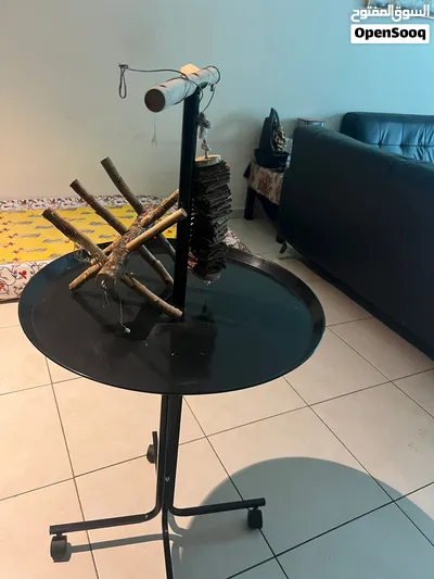 Bird stand with toys 2