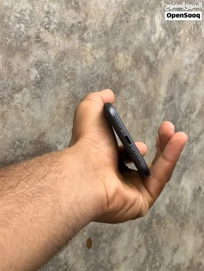 ايفون 11 العادي 3