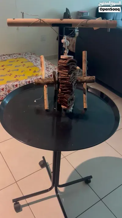 Bird stand with toys 3