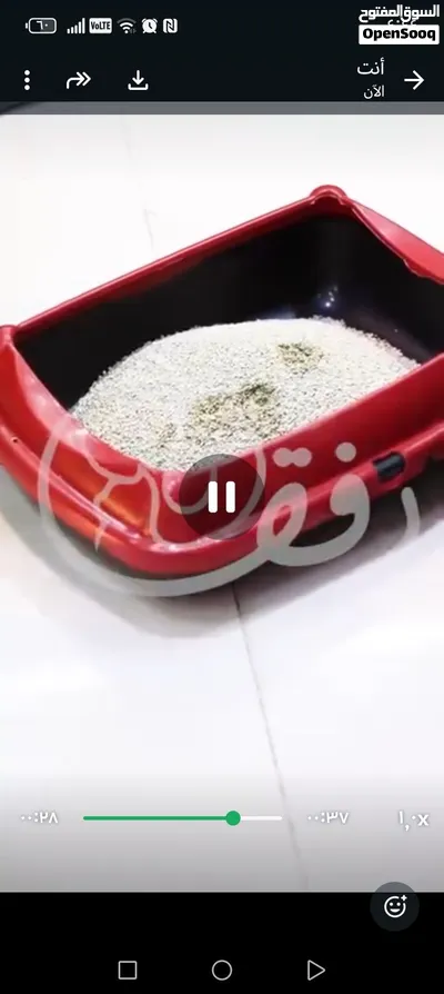 6 اكياس رمل فيرا ب 12دينار فقط الكميه محدوده/ق ط10 2
