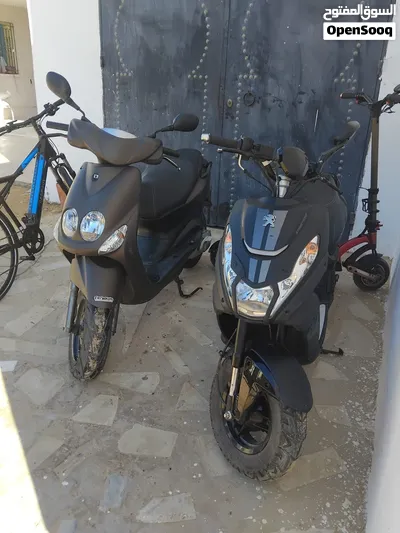 2 سكوتير ودراجة كهربائية 3