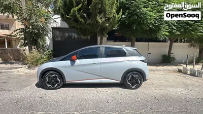 BYD Dolphin 2022 4