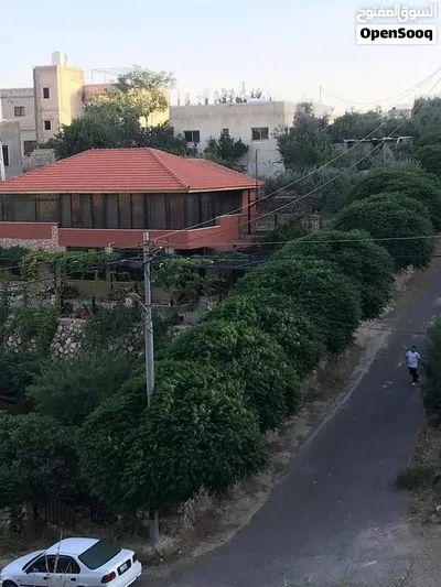 دونم الرباحيه خلف مسجد الملك حسين والمدينة الطبيه من المالك 3