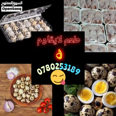بيض فري سمان طازج للأكل إنتاج يومي بيض كبير جامبو نضيف ومعقم الباكيت عدد 24 بيضه سعر دينار ونص 3