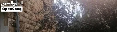 شقه ارضيه للبيع في جبل اللويبده 15565 3