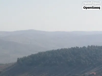 ارض للبيع 3500 متر واصل الخدمات اطلاله رائعة منبسطة قرب مزرعة محمد نوح القضاه 2