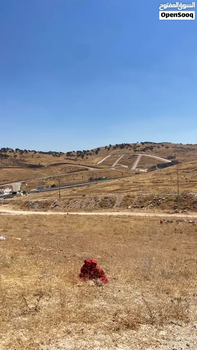 ارض مساحة 500م في بيرين العويلية ( اسكان الزهراء 1 ) قرب دفاع مدني بيرين حوض مرحب جمعان 2