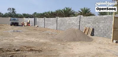 أرض زراعية مسورة ومستوية للإيجار في ولاية صحار بها ماء وكهرباء وغرفة مع دورة مياه 4