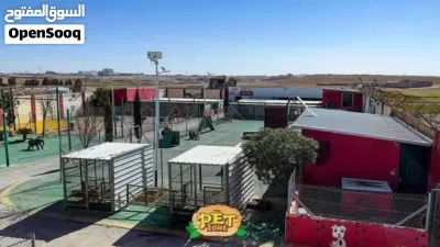 تدريب كلاب ..يجب أن تكون الخطوة الأولى في رحلتك الصيفيه هي تدريب كلبك. وتبدأ من THE PET ZONE CENTE 2
