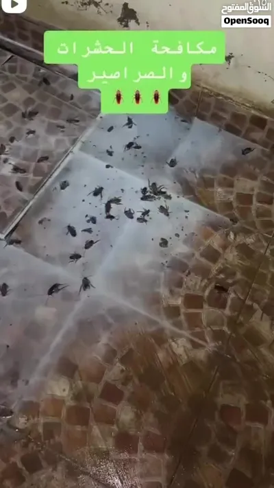مكافحة حشرات بالمدينة المنورة مكافحة الصراصير وبق الفراش 4