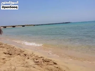 شاليه 90م مفروش بالكامل بإطلالة حمام السباحة – لاسيريناميني إيجيبت 4
