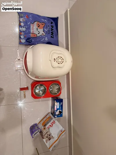 All Kitten supplies for sale - used for 2 days only - 2