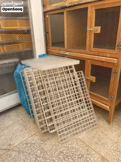 فقاسات بيض فل توماتيك نظام تبريد لاتحتاج إلى مكيف ( 1250 - 264 - 350 ) 3