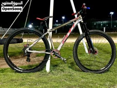 Mountain bike 29er fully modified 2