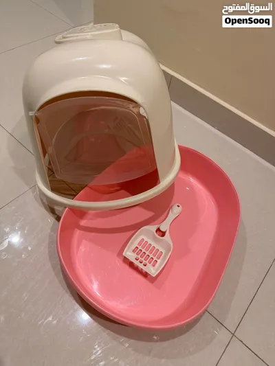 All Kitten supplies for sale - used for 2 days only - 3