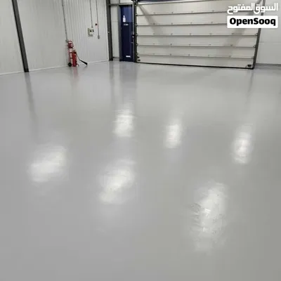 Professional Paint Services 3