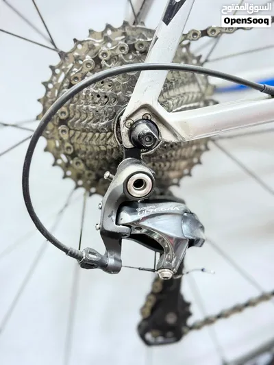 GIANT - TCR 2