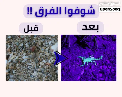 كشاف UV كاشف عقارب و العملات النقود كشف المزوره و الاحجار الكريمه ضوء اضائه فوق بنفسحيه لوكس كشافات 4