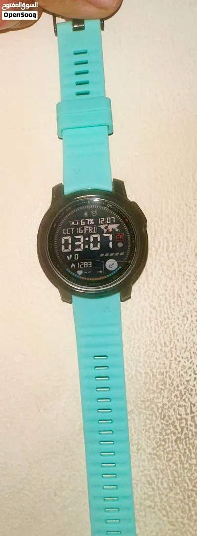 Garmin Fenix 6s Pro 2