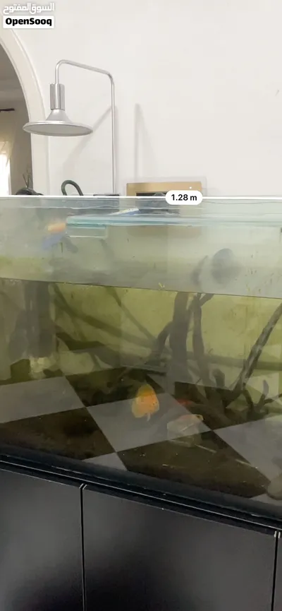 Aquarium with cabinet 3