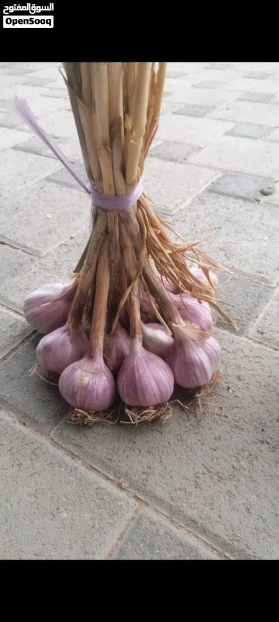 يتوفر معي رطب وتمور 2
