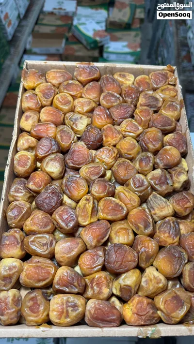 تمر سكري ملكي 3