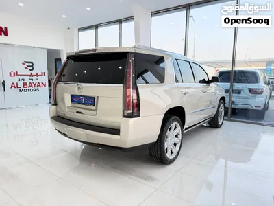 كاديلاك اسكاليد بلاتينيوم Cadillac Escalade Platinum 2015 خليجي 4