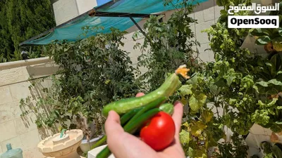 أبراج زراعية عمودية 3