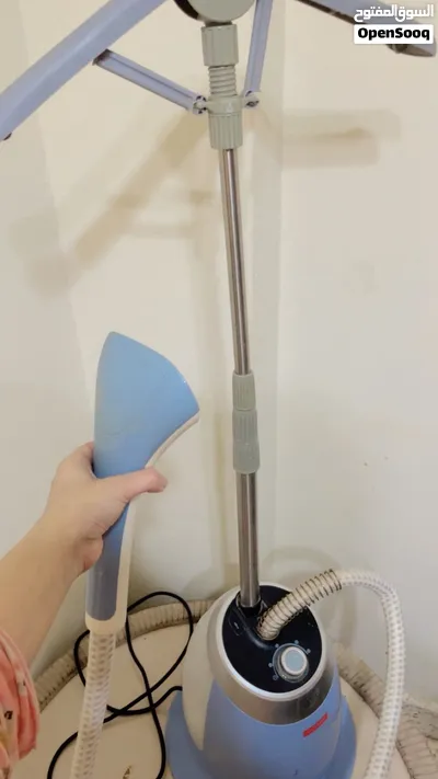 Steam iron 2